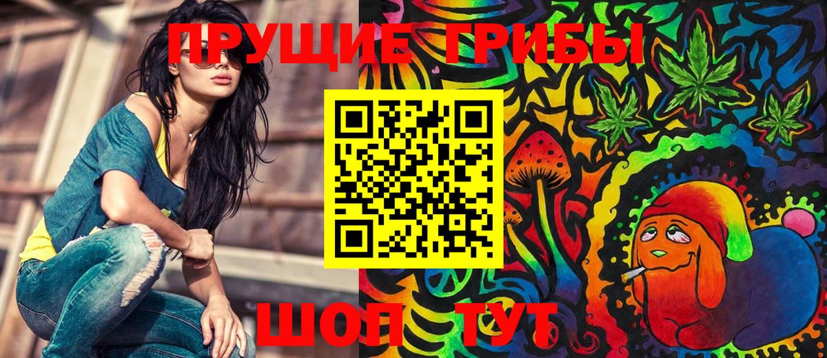 Псилоцибиновые грибы Cubensis  Вход с VPN  Псилоцибиновые грибы GOLDEN TEACHER  Ливны 