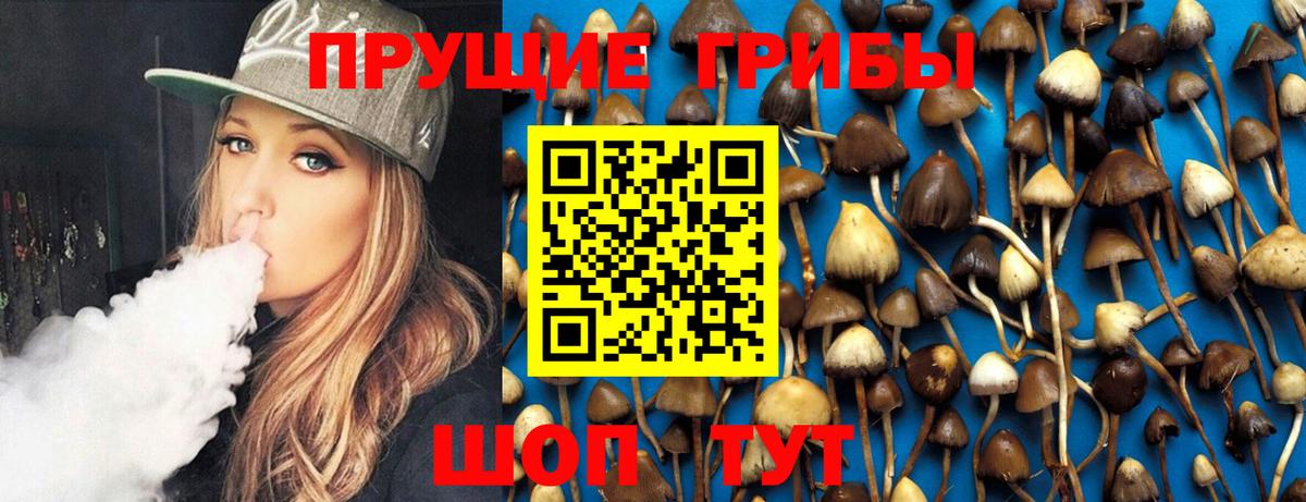 Псилоцибиновые грибы прущие грибы Ливны